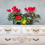 Vistas Al Mar. Gran Terraza 公寓