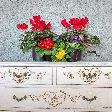 Vistas Al Mar. Gran Terraza Apartment